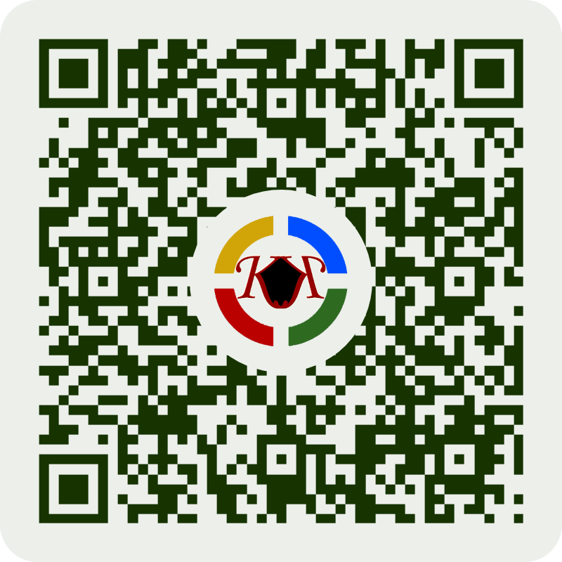 Wise QR payment QR code